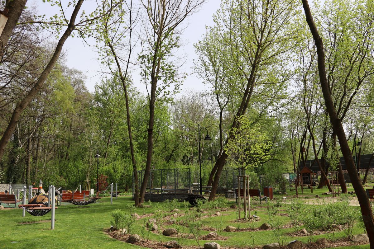 Ogrod Botaniczny Brwinow  1.jpg