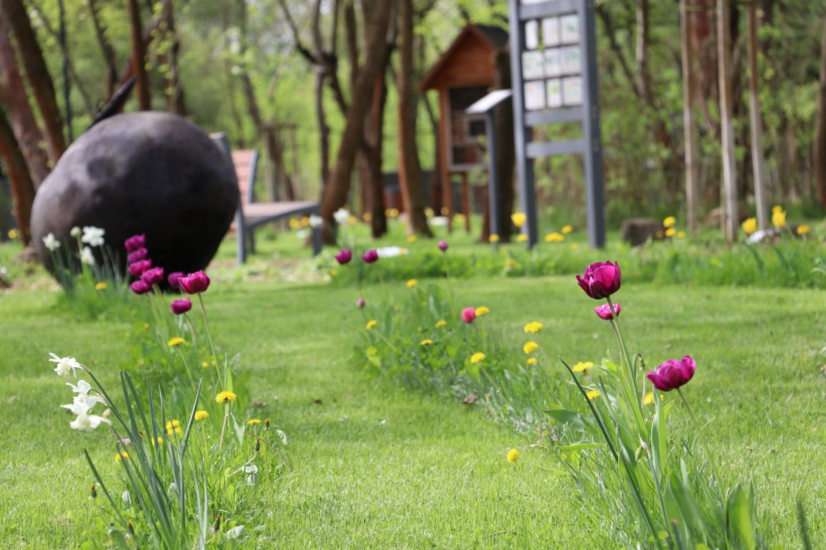 Ogrod Botaniczny Brwinow 2.jpg