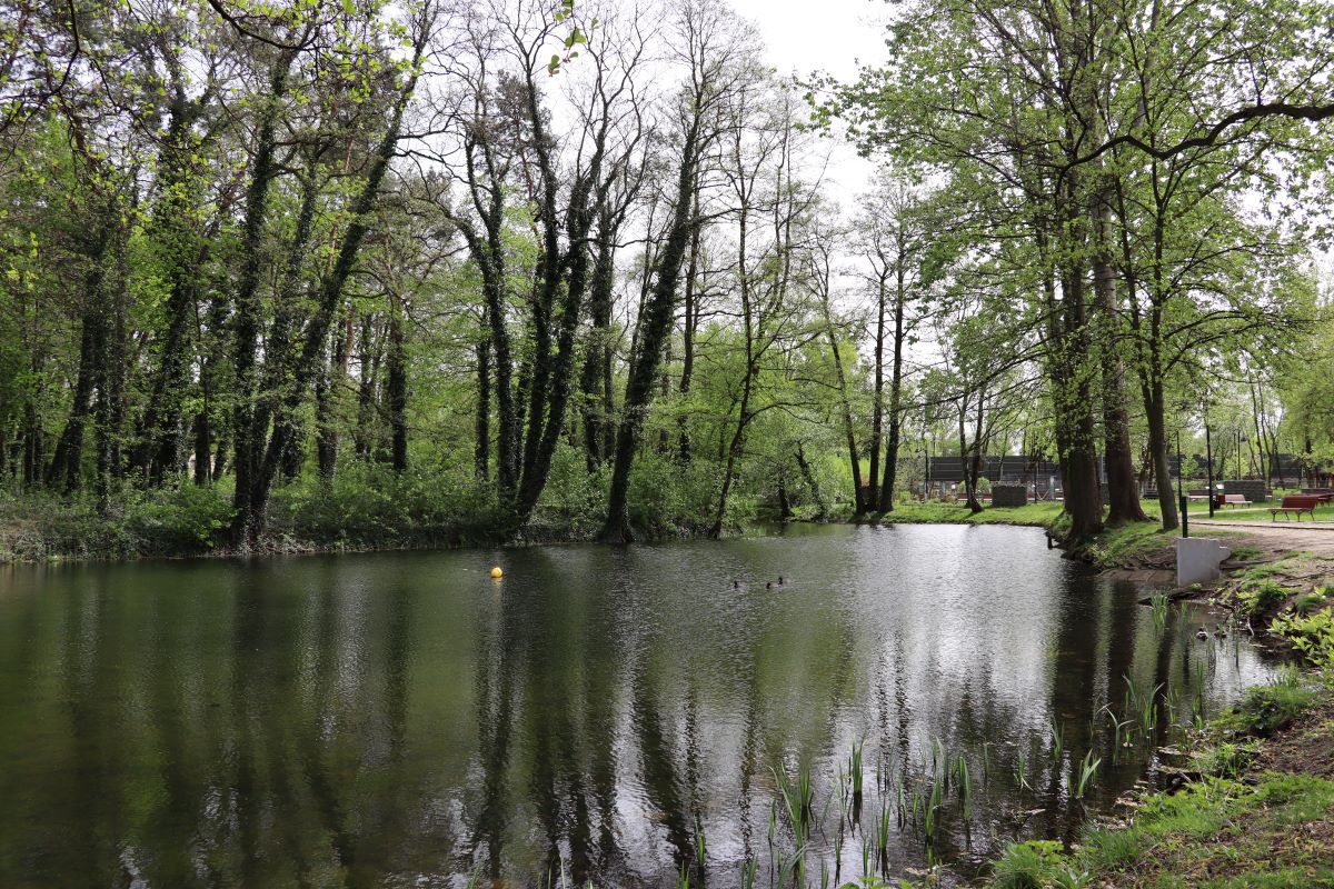 Park Miejski Brwinow  2.jpg