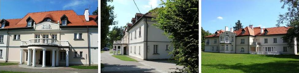 Żółwin