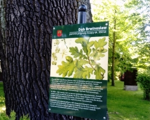 Brwinosław