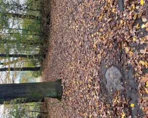 Budowa sieci wodociągowej