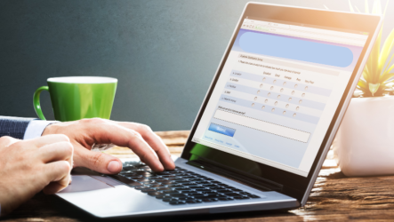 Diagnoza problemów społecznych na terenie gminy Brwinów – ankieta internetowa