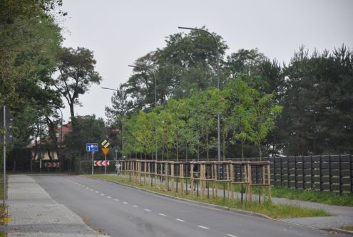 Pierwszego dnia jesieni odbyła się w Żółwinie akcja wspólnego sadzenia drzew. Przy ul. Szkolnej o...