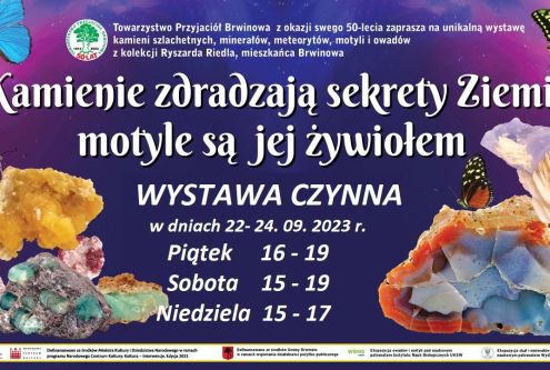 Przed mieszkańcami gminy Brwinów pełen aktywności pierwszy jesienny weekend. Dwie wystawy, dwa ko...